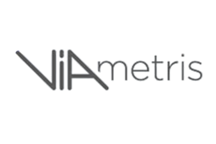 Viametris logo