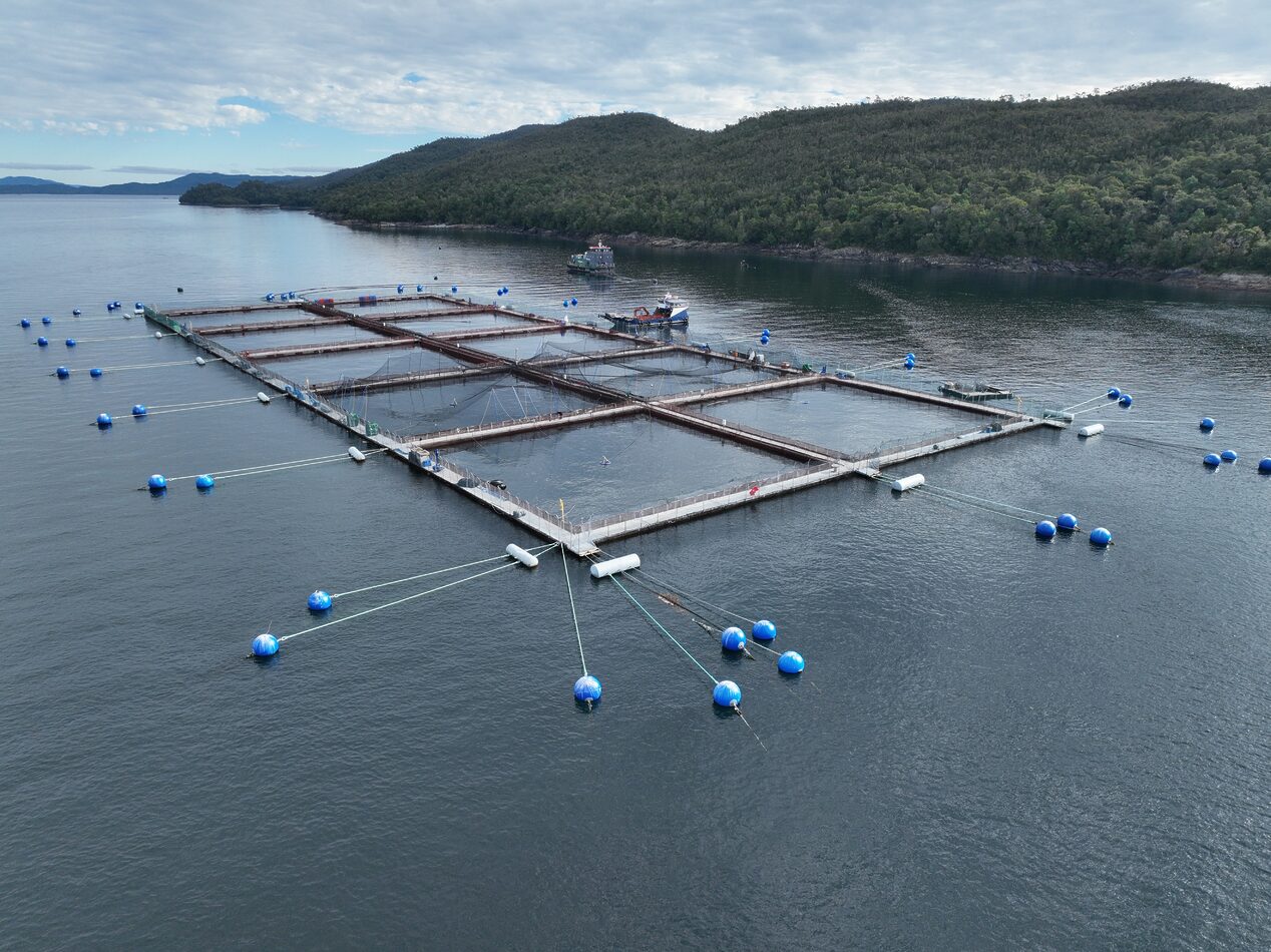 Floating fish farming cages anchored in a coastal bay surrounded by forested hills under cloudy skies