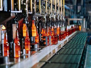 Bottling Line with Orange Glass Bottles Moving Along a Conveyor in a Factory Setting Prevu3d